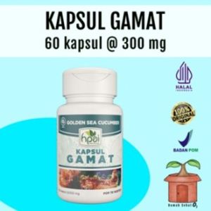 Kapsul Gamat Golden Sea Cucumber Teripang Emas Kapsul HNI HPAI Nyeri Sendi Tulang Keropos