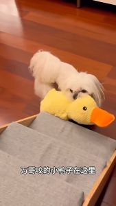 AP AIMAYAPET Squeak Duck Dog Toy Plush Durable Biting Chewing Sound Pet Teeth Grinding Mainan Haiwan