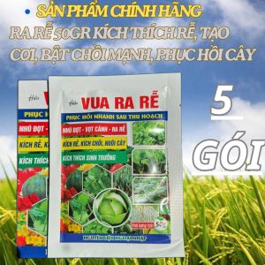 COMBO 5 GÓI VUA RA RỄ PHÂN BÓN LÁ GÓI 50G NHÚ ĐỌT -  VỌT CÀNH - RA RỄ