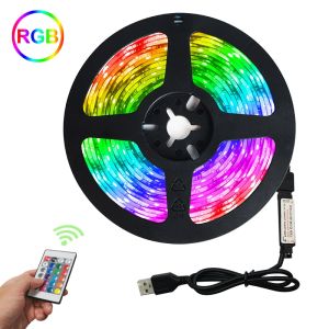 ♥Ready Stock +FREE♥ LED Strip light Flexible Diode Tape DC 5V LED Lights Strip SMD2835 24 keys control USB RGB Lamp for Home Wall TV BackLight Decor