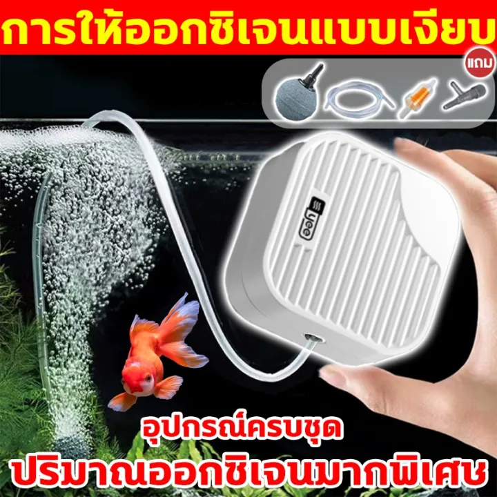 ปั๊มออกซิเจน YEE