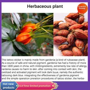 Graceful Herbal Tattoo Stickers Spider Web Temporary Tattoos Lasting Punk Cobweb Tattoo Cheap Goods Festival Art Man Tattoo Sticker