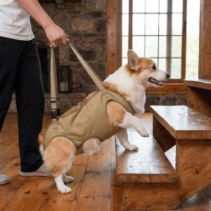 MUQZI Thicken Handle Pet Auxiliary Vest Adjustable Soft Lining Support Harness Comfort Mobility Aid Dog Chest Back Leash Elderly Dogs