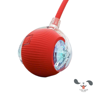 Đồ Chơi Bóng Điện Tương Tác Cho Chó Mèo – LIDO HOUSE SHOP & HOTEL