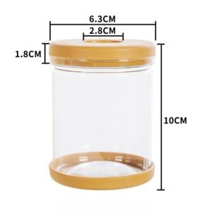 Nordic Transparent Hydroponic Plant Pot Self Watering Automatic Absorption Vase For Indoor Home Office Decor