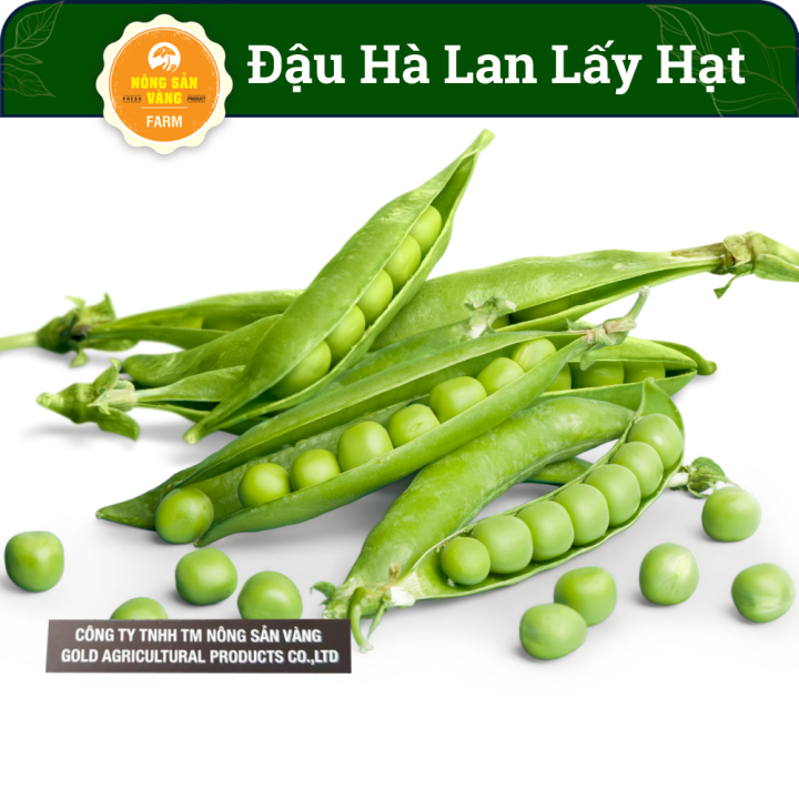 Hạt giống Đậu Hòa Lan (Đậu Hà Lan) Ăn Hạt ( Lấy Hạt) Rất Nhiều Dinh Dưỡng Và Vitamin, Chế Biến Thành Rất Nhiều Món Ăn (Gói 20 Gram) - Nông Sản Vàng