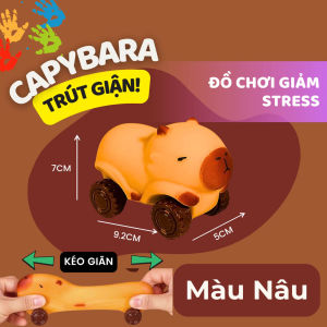 Capybara Xe Co Giãn Bóp Bóp giảm tress - Xe đua capybara co giãn - Squishy capybara hình xe Kéo Dài Đập Bẹp