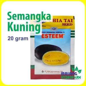 Benih Semangka Kuning Esteem 20 gram cap kapal terbang bisi melon biji unggul bibit hidroponik hydroponik