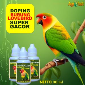 Vitamin Doping Burung Lovebird Doping Lovebird Konslet Ngekek Vitamin Obat Gacor Lovebird super