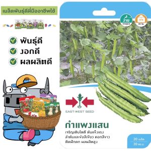 SORNDAENG 🇹🇭 ผักซอง ศรแดง S069# ถั่วพู กำแพงแสน F1 เมล็ดพันธุ์ ถั่ว เมล็ดพันธุ์ลูกผสม เมล็ดพันธุ์ผัก ผักสวนครัว เมล็ดพันธุ์ ผักศรแดง