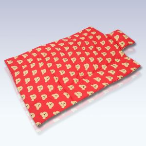 ราคาโปร ที่นอนเด็ก ที่นอนเด็กเล็ก ที่นอนเด็กอนุบาล พร้อมหมอน ที่นอนเด็กลายน่ารัก ที่นอนเเด็กเล็ก เบาะนอนเด็กเล็ก ลายสวยสดใส