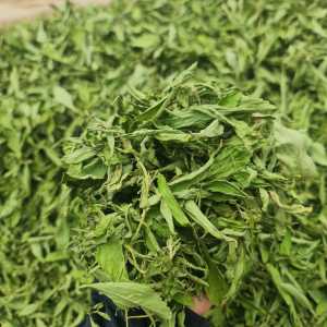 หญ้าหวานไทย คัดเกรดเกรดคุณภาพ 1 KG.