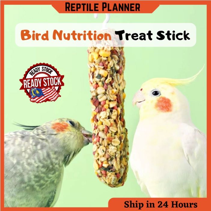 Bird Cereal Stick Cockatiel Treats LoveBird Snack Honey Flavour ...