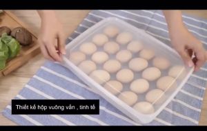 Hộp Đựng Trứng 24 Quả Có Nắp Đậy Khay Bảo Quản Trứng Trong Tủ Nhựa Việt Nhật Phukienprocare