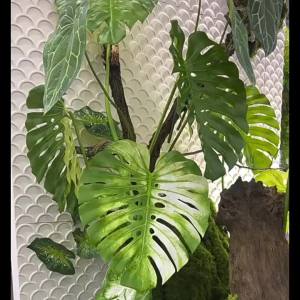 Monstera leaf decoration artificial leaf fake leaves hanging leaves plant for landscape decoration home wedding decoration