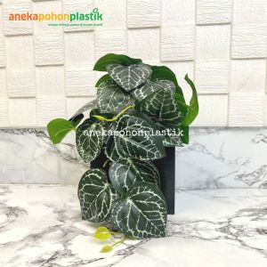 Tanaman Artificial Pohon Hias Juntai Mini Fittonia Hijau Tua Plastik Pot Kayu Kotak Hitam Dekorasi Meja