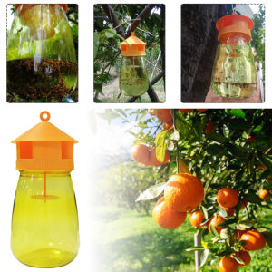 New Fly Fruit Trap Fruit Fly Catcher with One Natural Non-Toxic Fruit Fly Lure Garden Farm Home Fruit Shop