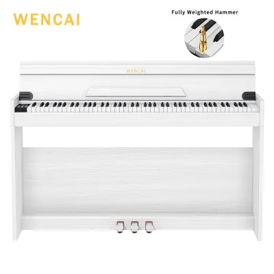 WENCAI Digital Piano 88 Keys Fully Weighted Piano Keyboard Hammer Action Upright Piano for Beginner Cushioned Drop Cover 3 Pedals