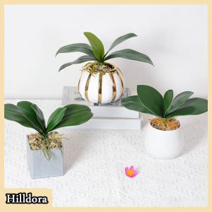 [Hilldora] Orchid Leaves Artificial Phalaenopsis Stems Leaf Faux Cymbidium Flower Foliage Green Real Touch Latex Bulk Home Decor