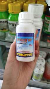 Winder 100EC Insektisida Obat Pembasmi Hama Kutu