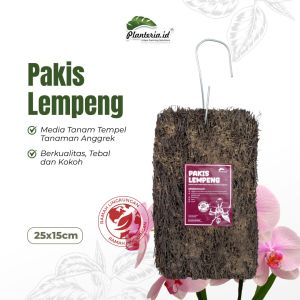 Papan Pakis Anggrek Berkualitas Tebal dan Kokoh  by Planteria.id