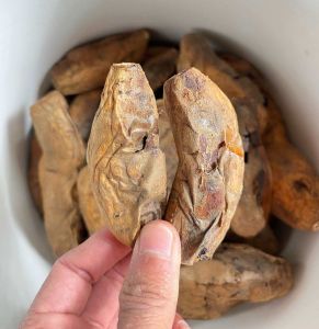 Ubi madu cileumbu mentah 1kg rasa manis ubi oven