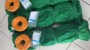 50M/100M Chicken Net Fence Green Net Free Range Chicken Net 100 Meters for Poultry Outdoor Fishing Net or Lambat Poultry Net Ranging Net All Purpose Net