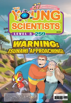 The Young Scientists 2026 Level 3 - 259 WARNING: TSUNAMI APPROACHING!