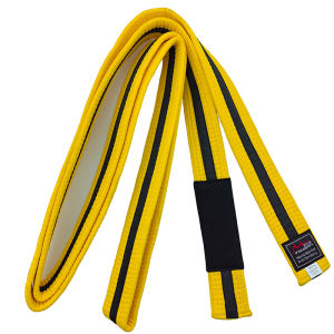 MMA Brazil Jiu-Jitsu Thắt Lưng công cụ bảo hộ Bjj Vành Đai thiết bị thể thao Trẻ Em Trẻ Em Thanh Niên Bjj Cấp Hệ Thống Dưới 16 Tuổi xám trắng Vàng Cam Màu Xanh Lá Cây Dải Chiều Rộng 4Cm