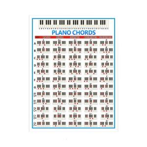 Fully Illustrated Piano Chords Chart Keyboard Note Chart Acoustic Electric Piano Chords Wall Chart Education Gift