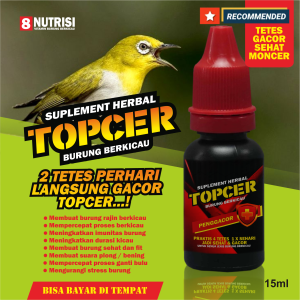 topcer vitamin pengacor pleci ngalas ngeplong gacor