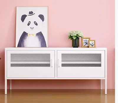 TV simple steel cabinet