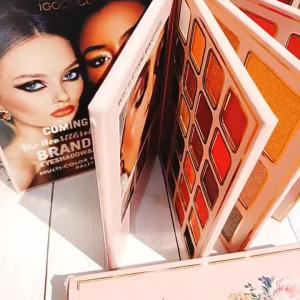 Mẫu Nổ 78 Bảng màu mắt năm trang kiểu sách màu phấn mắt mờ phấn má hồng highlighter son môi trang điểm tất cả trong một