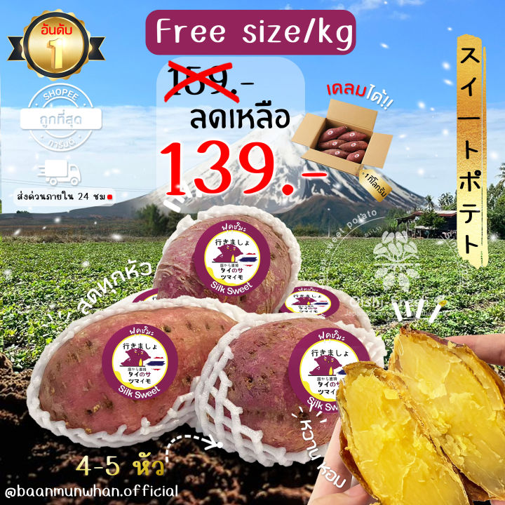 Oishi-Fresh%20%E0%B8%A1%E0%B8%B1%E0%B8%99%E0%B8%AB%E0%B8%A7%E0%B8%B2%E0%B8%99%E0%B8%8D%E0%B8%B5%E0%B9%88%E0%B8%9B%E0%B8%B8%E0%B9%88%E0%B8%99%E0%B8%AA%E0%B8%B2%E0%B8%A2%E0%B8%9E%E0%B8%B1%E0%B8%99%E0%B8%98%E0%B8%B8%E0%B9%8C%20Silk%20sweet%20%F0%9F%87%B9%F0%9F%87%AD%E0%B8%9B%E0%B8%A5%E0%B8%B9%E0%B8%81%E0%B9%84%E0%B8%97%E0%B8%A2%F0%9F%87%B9%F0%9F%87%AD%20%E0%B9%81%E0%B8%9A%E0%B8%9A%E0%B8%94%E0%B8%B4%E0%B8%9A%F0%9F%8D%A0%F0%9F%8D%A0%E0%B9%80%E0%B8%99%E0%B8%B7%E0%B9%89%E0%B8%AD%E0%B9%80%E0%B8%AB%E0%B8%A5%E0%B8%B7%E0%B8%AD%E0%B8%87%20%E0%B8%99%E0%B8%B8%E0%B9%88%E0%B8%A1%20%E0%B8%AB%E0%B8%AD%E0%B8%A1%20%E0%B8%89%E0%B9%88%E0%B8%B3%20%E0%B8%AB%E0%B8%A7%E0%B8%B2%E0%B8%99%E0%B8%95%E0%B8%B2%E0%B8%A1%E0%B8%98%E0%B8%A3%E0%B8%A3%E0%B8%A1%E0%B8%8A%E0%B8%B2%E0%B8%95%E0%B8%B4%20%E0%B8%AB%E0%B8%A7%E0%B8%B2%E0%B8%99.%E0%B8%88%E0%B8%B1%E0%B8%94%E0%B8%AA%E0%B9%88%E0%B8%87%2024%20%E0%B8%8A%E0%B8%A1.%20-%20Image%202