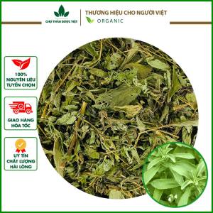 Cỏ ngọt 500g trà cỏ ngọt sấy khô vị ngọt tự nhiên điều vị đường ăn kiêng tốt cho tiểu đường