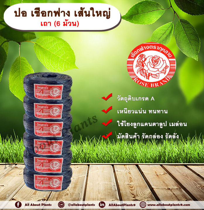 เชือกฟาง ตรากุหลาบ เส้นใหญ่ 6 ม้วน สำหรับโยงพืชผล