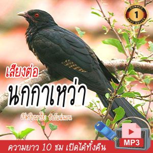 ร้านโชคดี999 เสียงต่อ นกกาเหว่า แฟลชไดร์ฟ USB เสียงดังฟังชัด เปิดปุ๊บมาปั๊บ เสียงนกแท้ เสียงดังฟังชัด100%