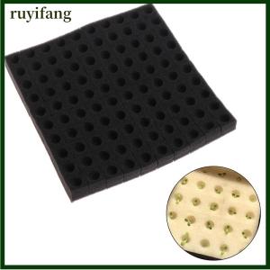 ruyifang 100 pcs soilless hydroponic ผักสถานรับเลี้ยงเด็กฟองน้ำวัฒนธรรมปลูกน้ำ
