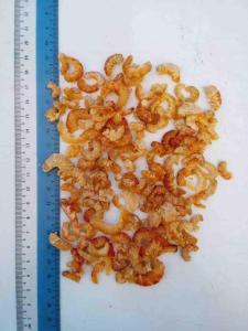 Udang Kering High Quality Dried Shrimp Dried Prawn Size XL 200gram