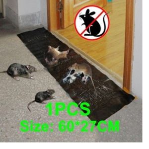 Fold plastic board rat bait a rat trap trap glue rat catching rats