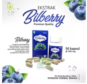 BILBERRY ARBAAINI bilberi arbain kapsul Herbal Mata kelehan herbal mata minus mata plus BILBERRY EKSTRAK VITAMIN KESEHATAN MATA MINUS LELAH RETINA SIRKULASI DARAH HERBAL KAPSUL VITAMIN MATA