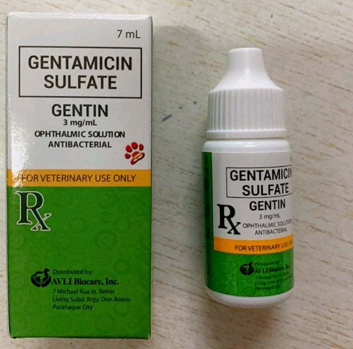 Gentamicin eye drops for cheap cats