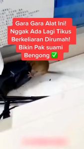 JEBAKAN PERANGKAP TIKUS POLOS SUPER STRONG/JEBAKAN TIKUS DOUBLE SRPING / PEMBASMI TIKUS