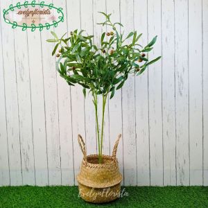 Pohon Hias Zaitun Tangkai X2 Cover Pot Purun Belly Handle Pajangan Ruang Tamu