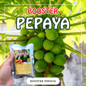 Booster Tanaman Pepaya / Pupuk Booster Hayati Khusus Tanaman Pepaya