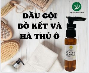 5 loại 300ml 40ml Sữa tắm thảo dược tinh chất gừng và nghệ tươi dầu gội bồ kết hà thủ ô dầu xả bười nha đam bơ shea dầu gội hắc kỉ tử mè đen dầu xả keratin silk protein wheat protein. Bạch hương Vân thảo