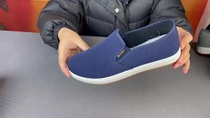 Low-Top MenS Canvas Shoes 2025 Autumn Model MenS Casual Slip-On Canvas Shoes