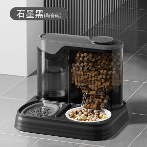 in-1 Automatic Cat Water Dispenser & Food Bowl Pet Feeder Combo