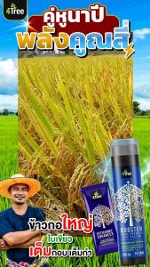 ยอดฮิตมาแรง คู่หูนาปี คู่สีนาพิดแกร่ง บูสเตอร์ ราคาโปร ชุดละ 1200 บาท ใช้ Booster ร่วมกัน เพื่อนซี้ พลังคูณ 4 แตกกอดี รับรวงเด็ด รักษาดังกล่าว ที่คู่นี้เลย!