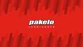 0132.00 (Made in Italy)  PAKELO - BRAKE FLUID SUPER DOT 4 1LITER. 